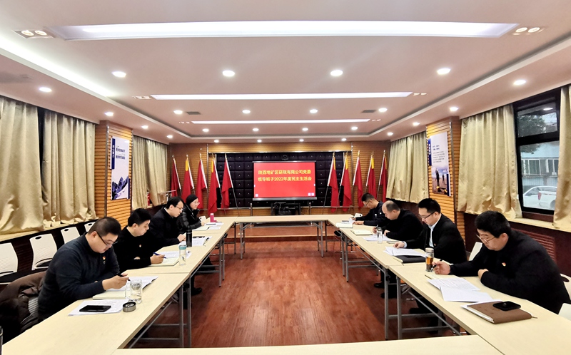 陜西地礦區(qū)研院有限公司黨委領(lǐng)導班子召開2022年度民主生活會